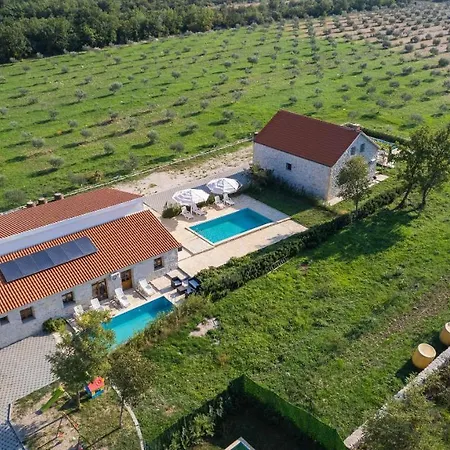 House Stone Curlew 4