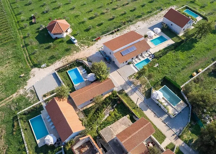 House Stone Curlew 4 * Lisane Tinjske