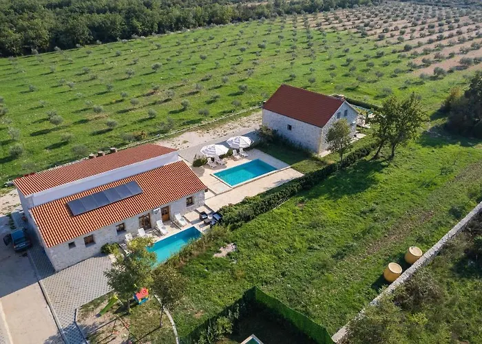 House Stone Curlew 4