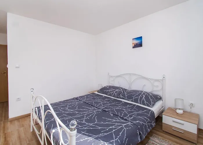 House Stone Curlew 4