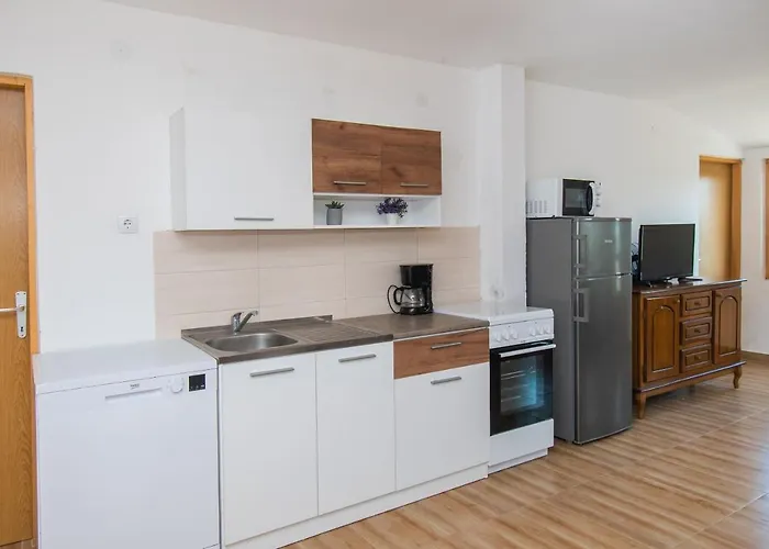 House Stone Curlew 4 Lisane Tinjske